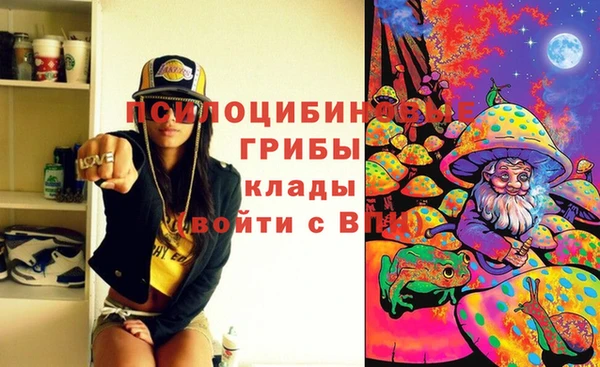ешки Балахна