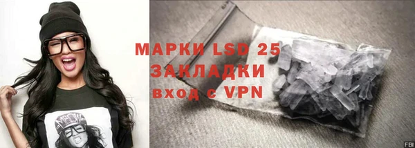ПСИЛОЦИБИНОВЫЕ ГРИБЫ Баксан