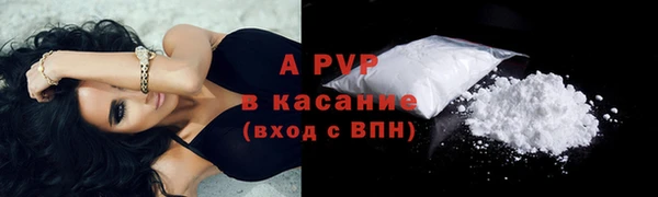ПСИЛОЦИБИНОВЫЕ ГРИБЫ Баксан
