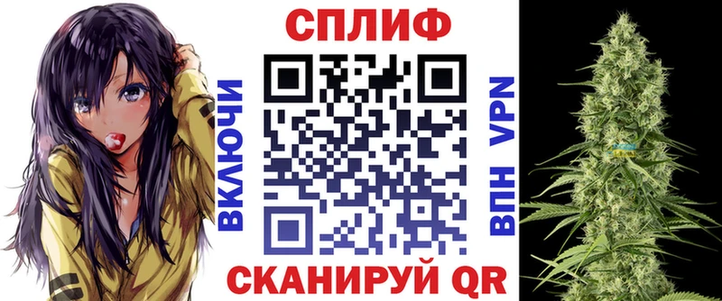 Бошки Шишки планчик  закладка  Лесной 